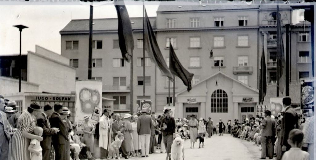 Martićeva ulica 1935. godine, izložba pasa (Foto Đuro janeković)